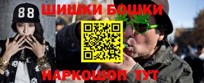 индика Заводоуковск