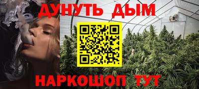 индика Заводоуковск
