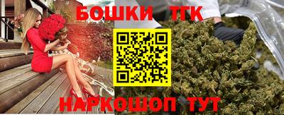 индика Заводоуковск