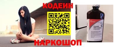 индика Заводоуковск