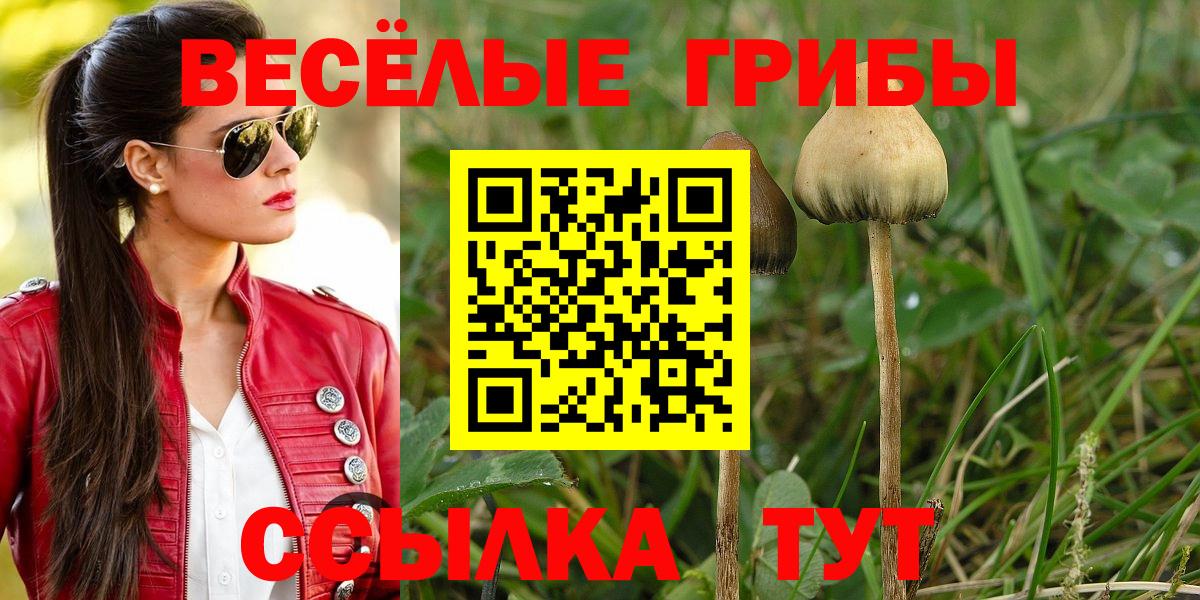 Галлюциногенные грибы Magic Shrooms Мытищи