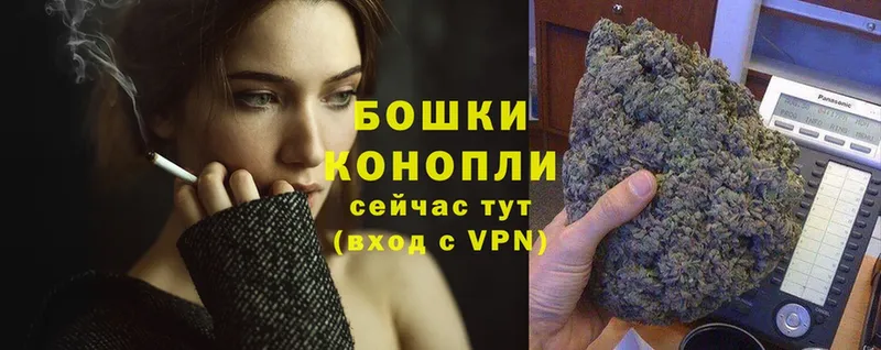 Канабис OG Kush  hydra tor  Мытищи 